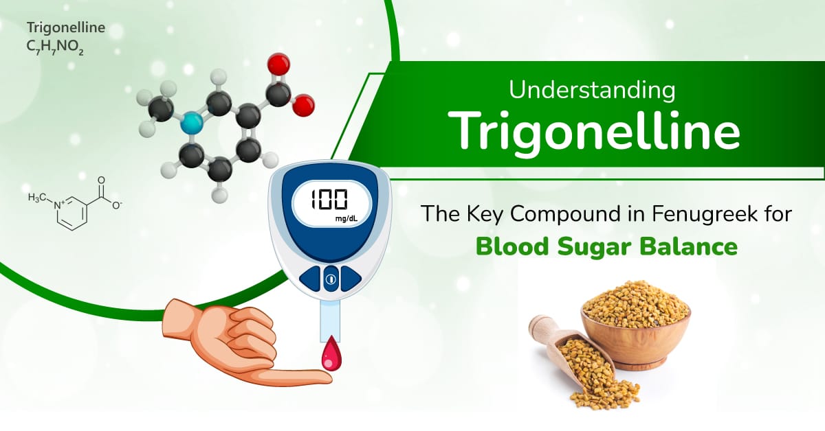 Trigonelline benefits